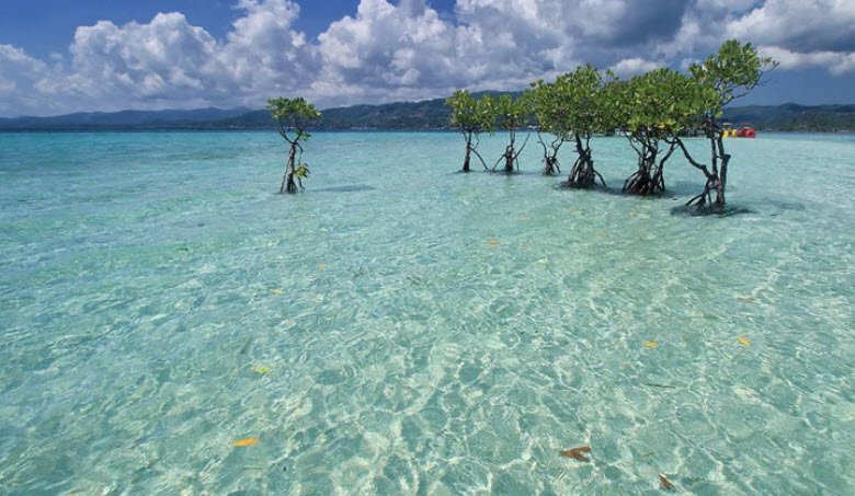 Buntod Reef Marine Sanctuary, Philippines , Philippines